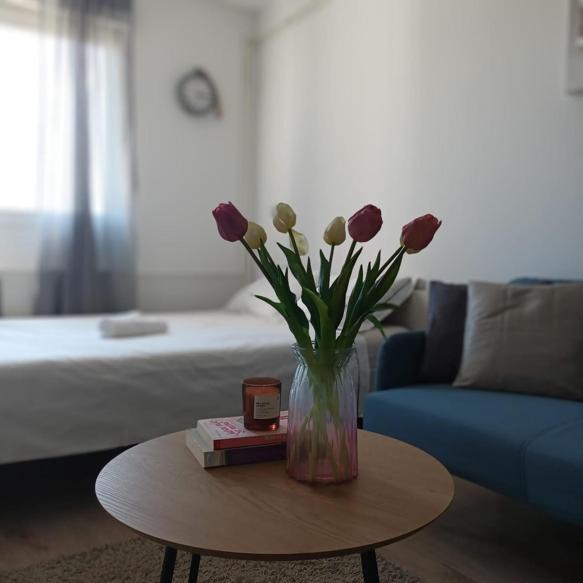 Modern Studio Near City Center Загреб Екстериор снимка